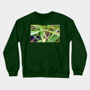 Firefly No.1 Crewneck Sweatshirt